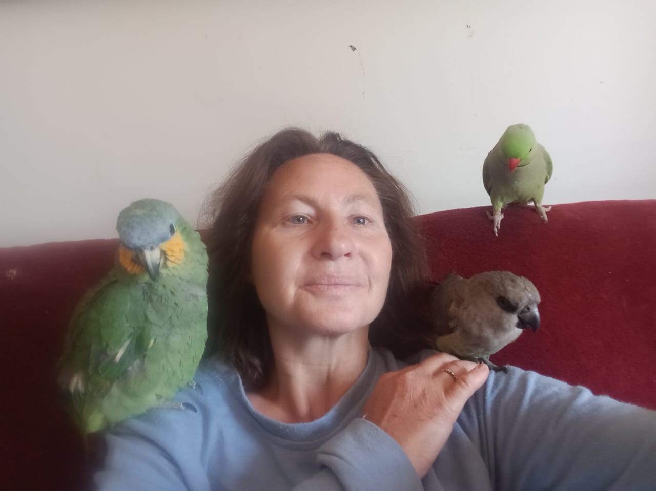 The Overnight Whisper - Live-In House & Pet Sitting