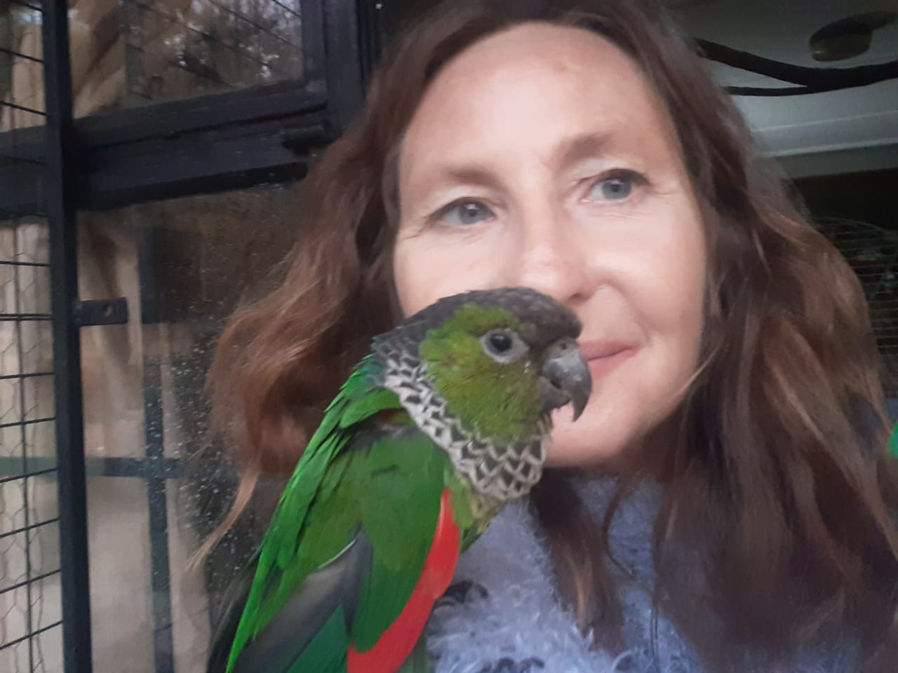 Barbara - Live-In House & Pet Sitting