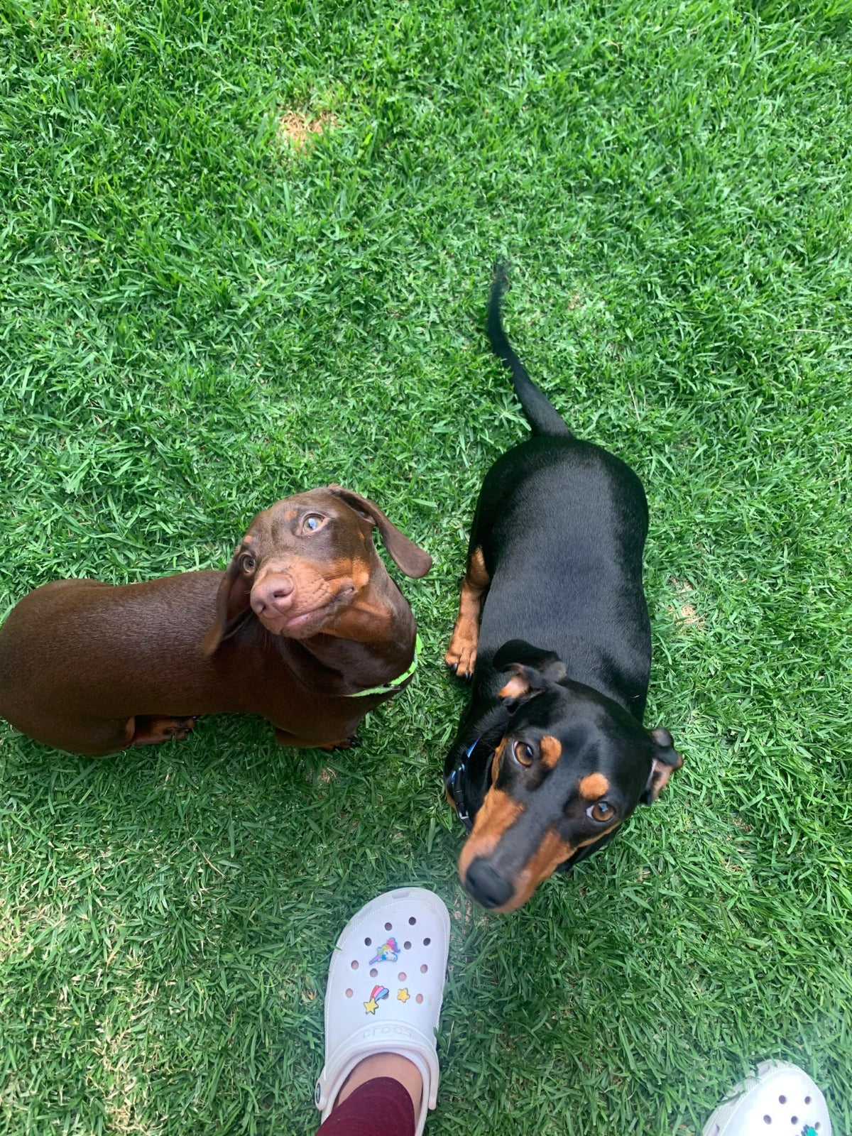 Pop-ins, walkies, feeding - Jasmine Esau