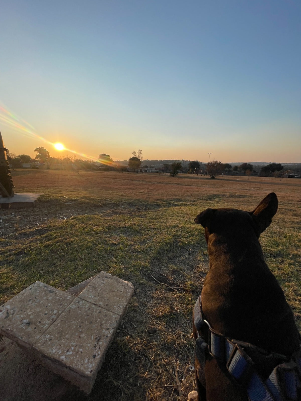 Pop-in, water, walkies and checkabout