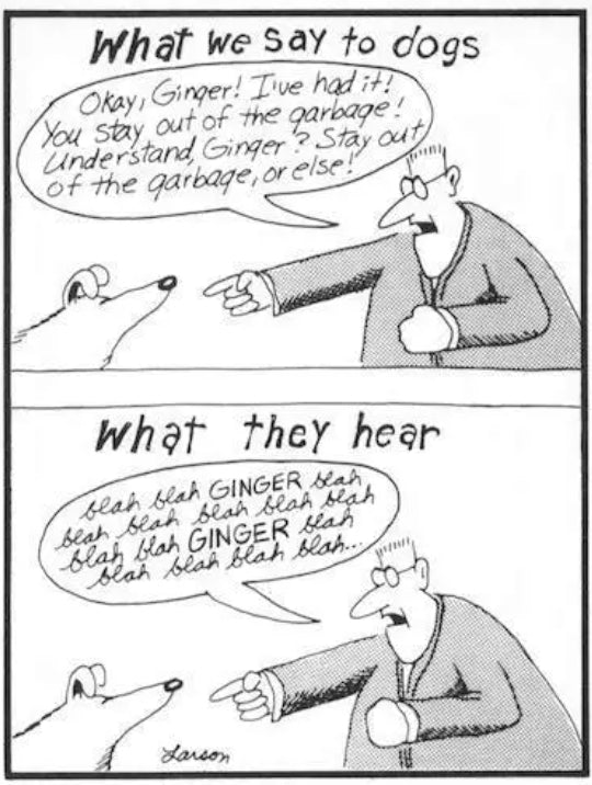 Dog sitting humour - all they hear is their name