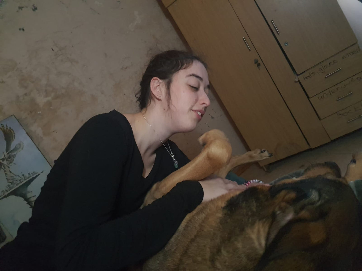 Tayla - Live in House & Pet sitting
