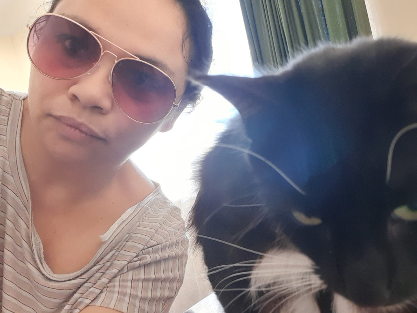Kettle’s On & Cats Are Fed