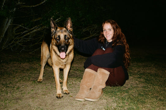 Ayliffe & Luke - Your Pets, Your Home, Our Care 🐾