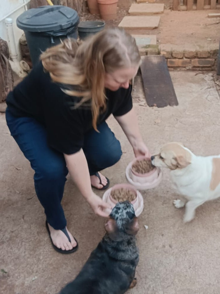 Elmari's Pet & House Sitting
