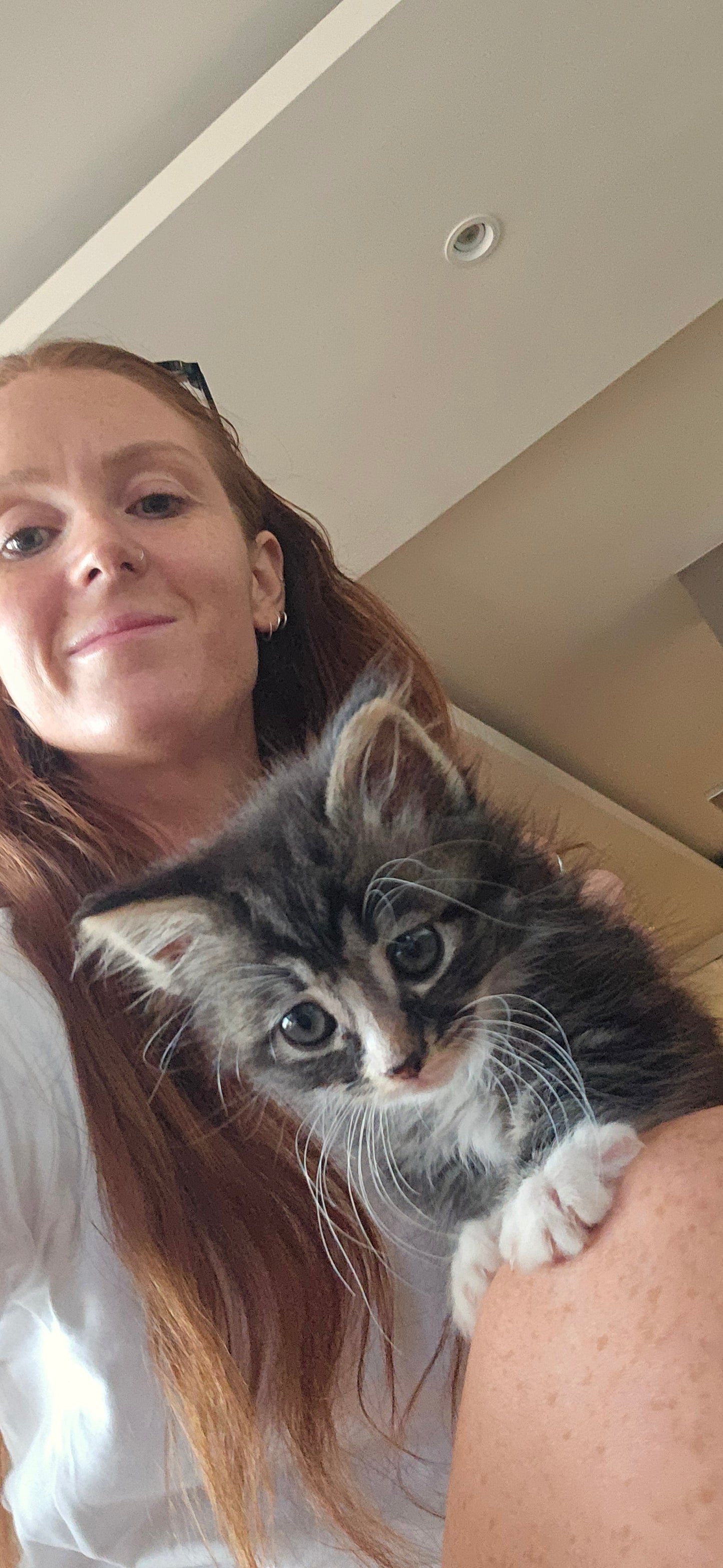Ayliffe & Luke - Your Pets, Your Home, Our Care 🐾