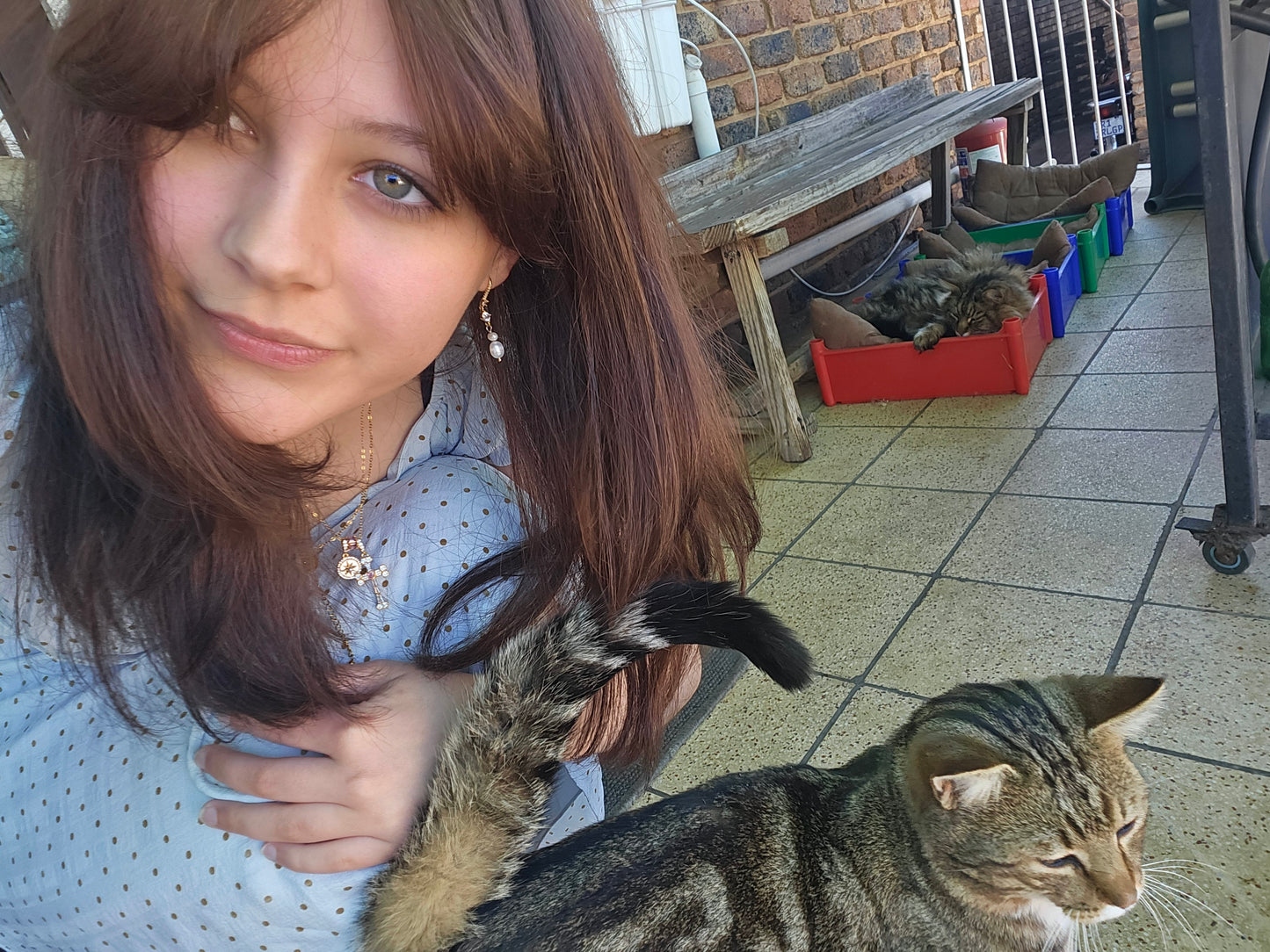 Nikki's Live-In Pet & Home Sitting