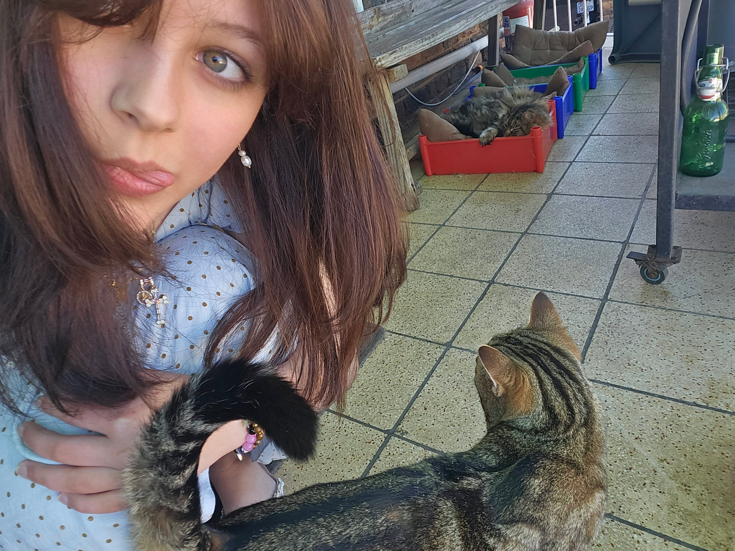 Nikki's Live-In Pet & Home Sitting