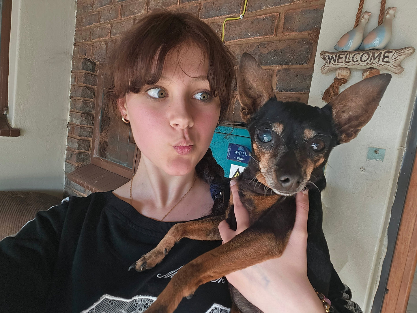Nikki's Live-In Pet & Home Sitting