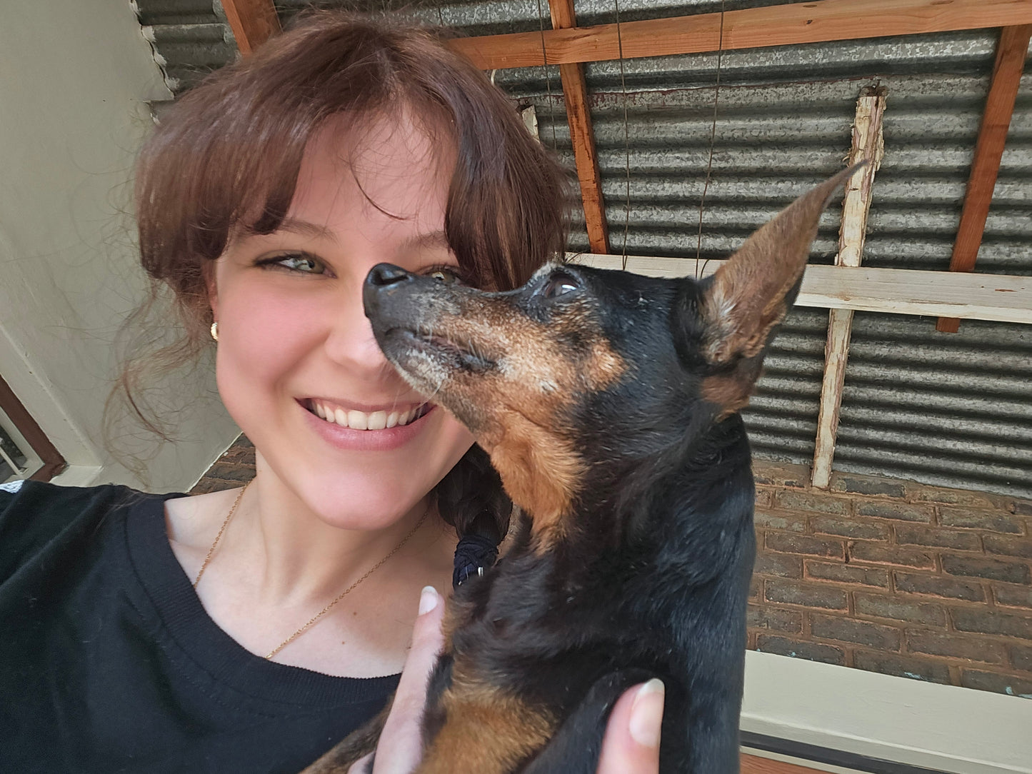Nikki's Live-In Pet & Home Sitting