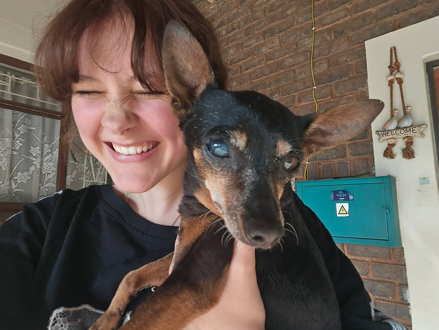 Nikki's Live-In Pet & Home Sitting