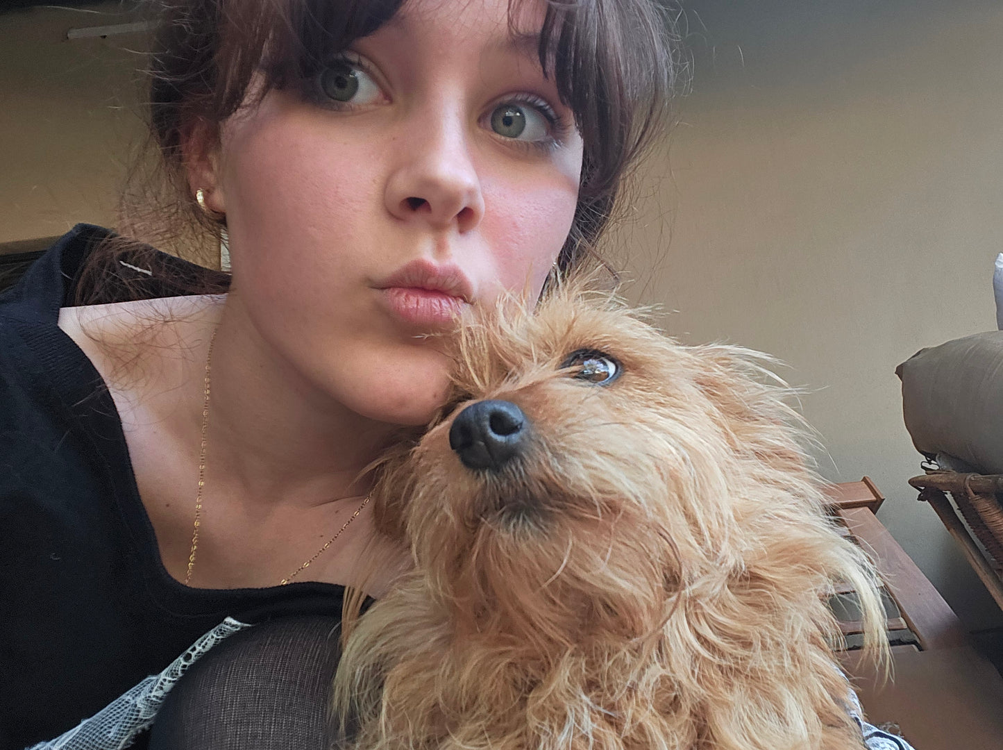 Nikki's Live-In Pet & Home Sitting