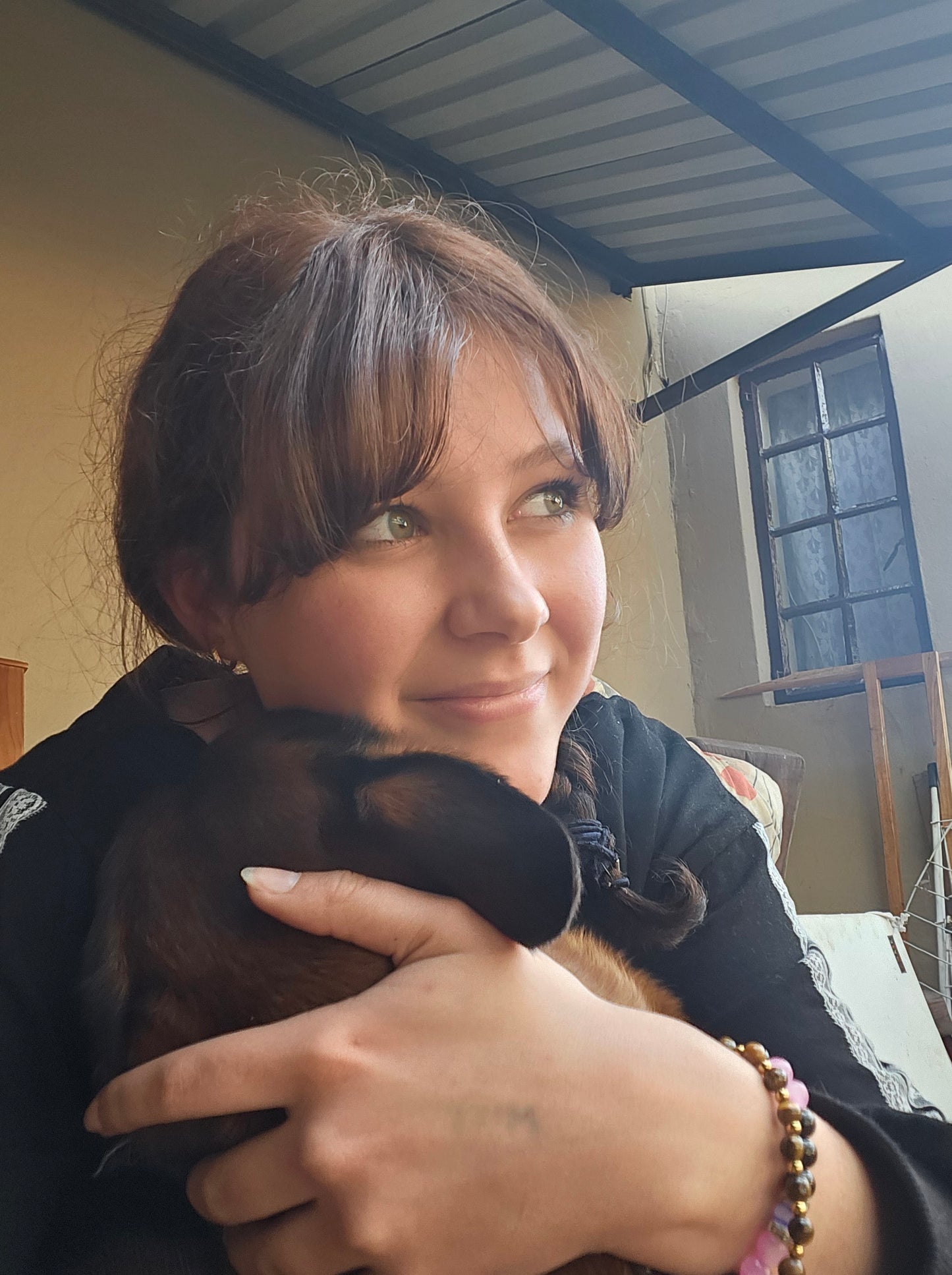 Nikki's Live-In Pet & Home Sitting