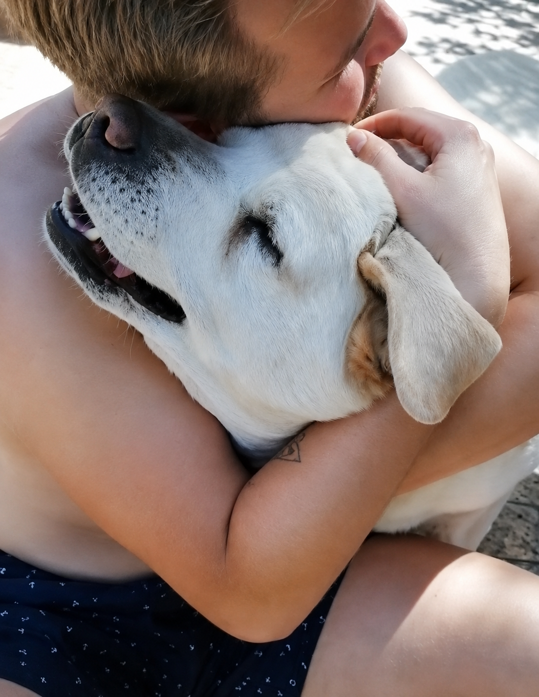 Chris - Live in House & Pet sitting
