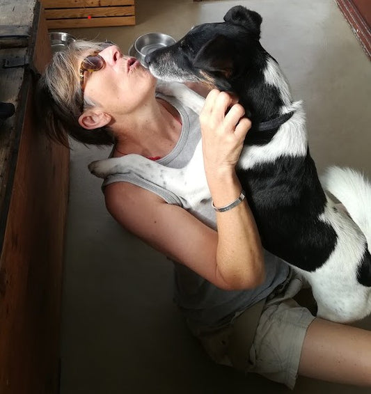 Pop-In Visits OR Walkies with Lucinda