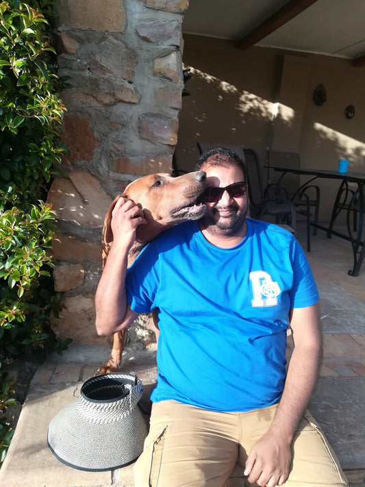 Quick Paw Patrol – Visit & Walk”