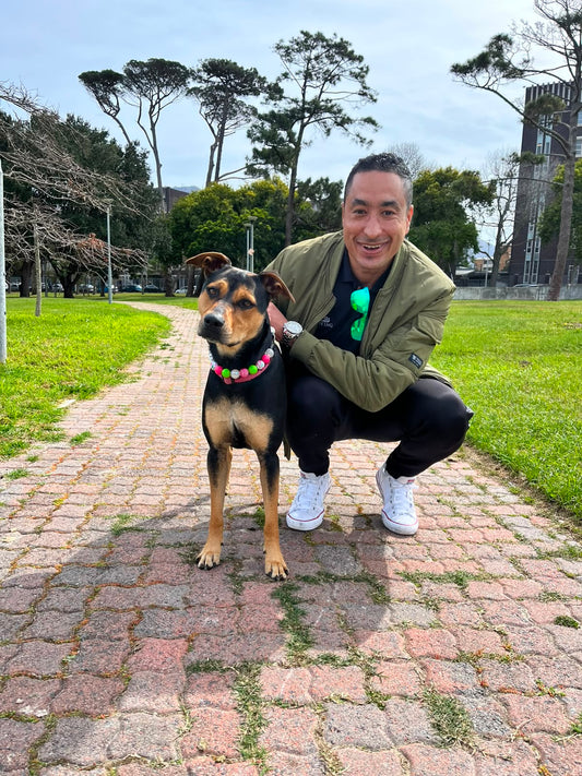 Warren's Home & Pet Sitters