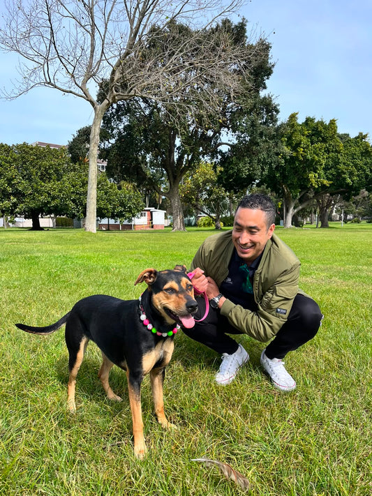 Warren's Home & Pet Sitters
