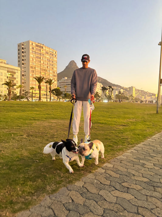 Mihir - Live-In House & Pet Sitting