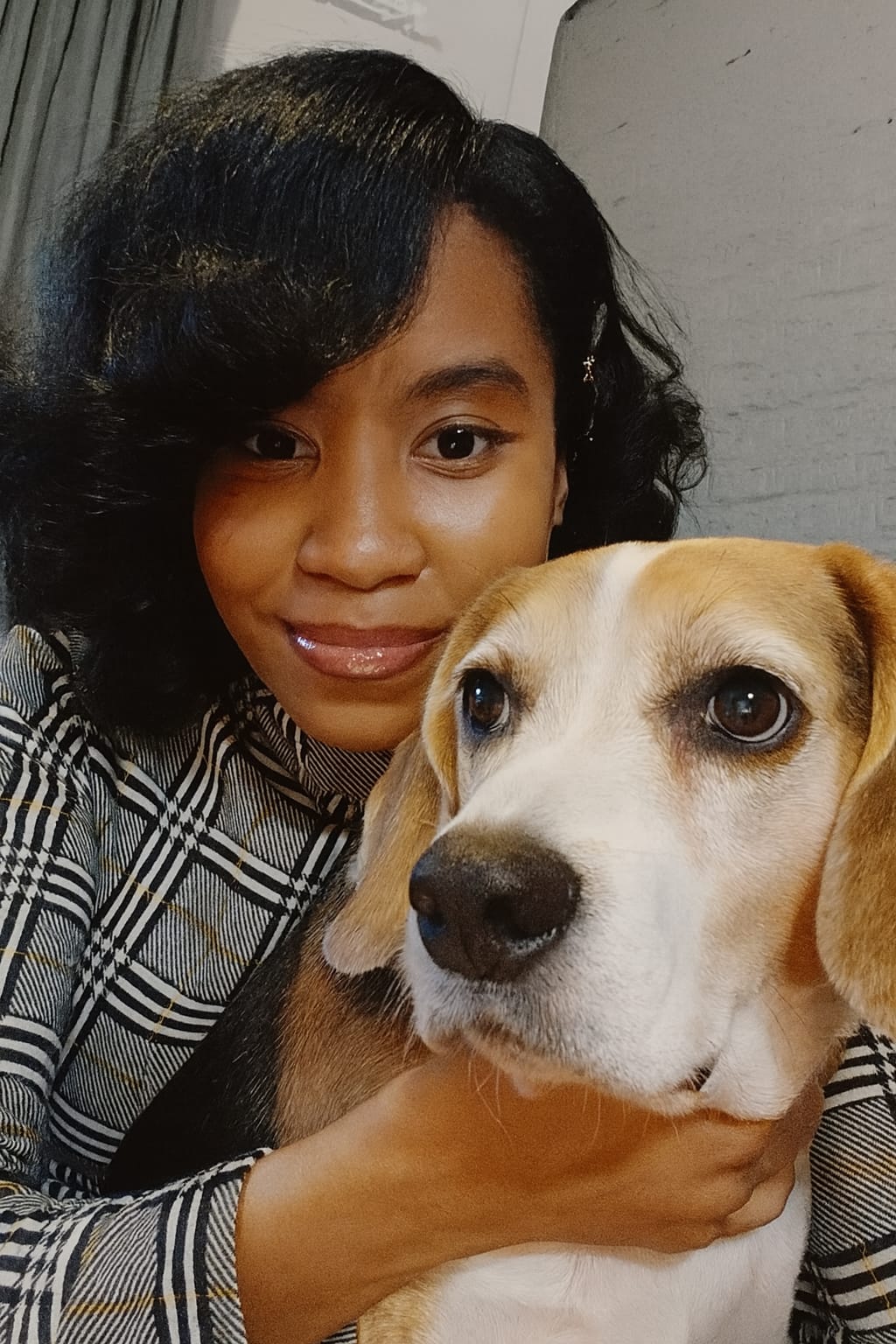 Beagle sitter in Rooihuiskraal