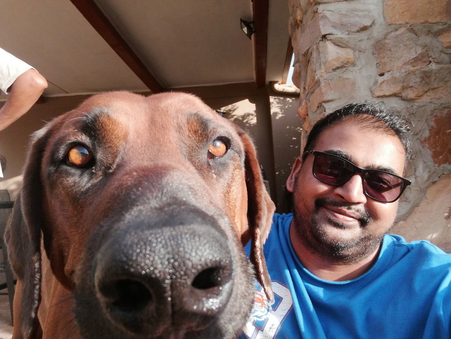 Stay & Play – Full-Time Pet & Home Care